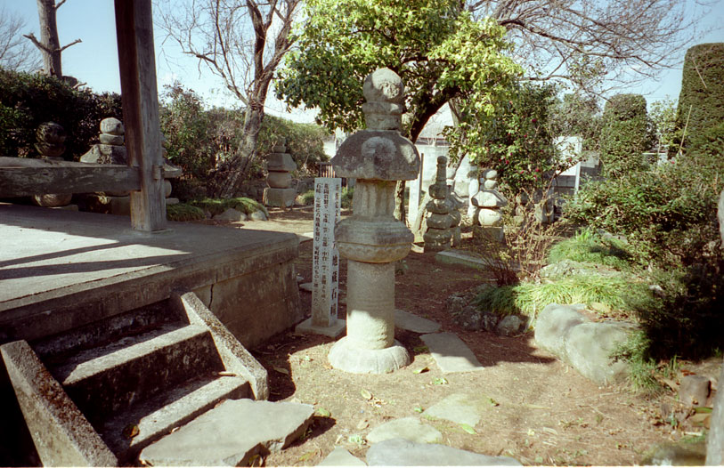ZnΛ